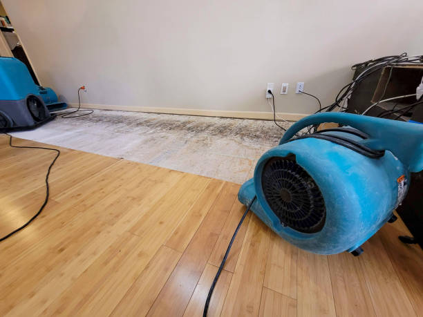 Professional Structural Drying technician working in Charlotte, MI